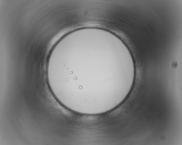 X0000113061286200910091134