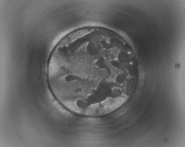 X0000113061287200910091134