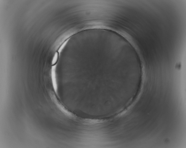 X0000113061289200910091134