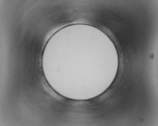X0000113061292200910091134