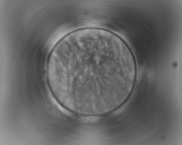 X0000113061294200910091134