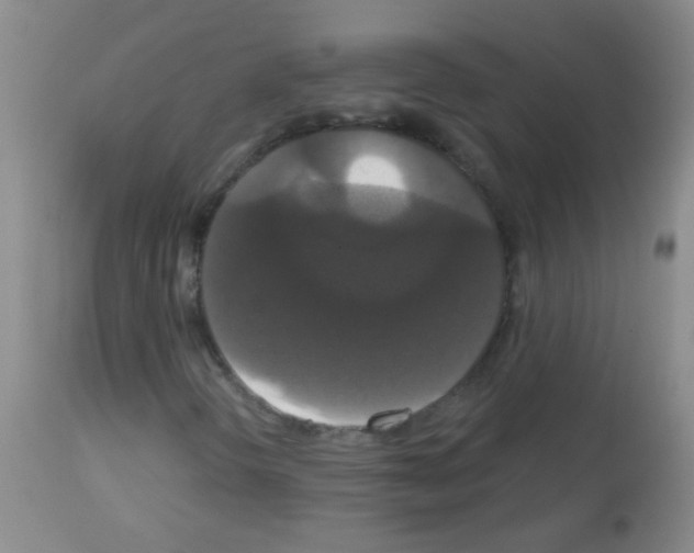 X0000113061298200910091133