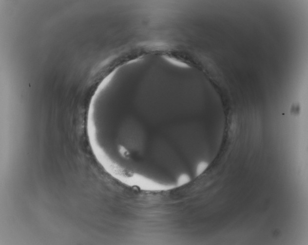 X0000113061301200910091133