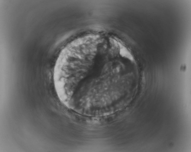X0000113061302200910091133