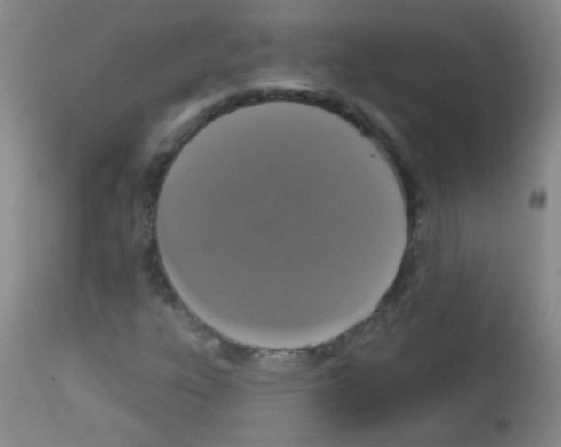 X0000113061303200910091133