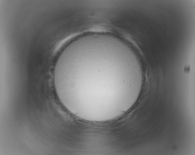 X0000113061304200910091133