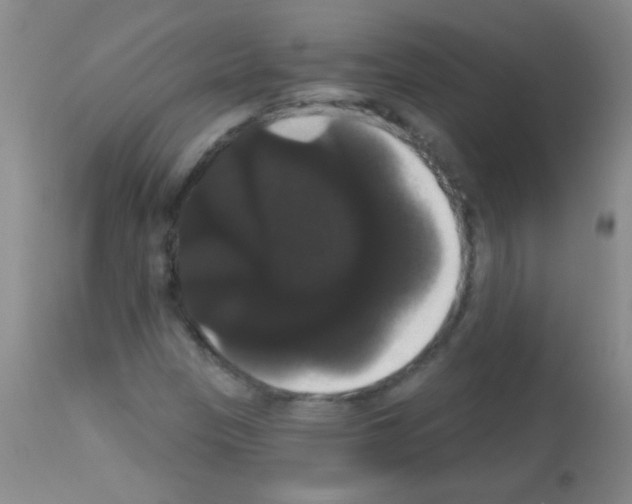 X0000113061305200910091133