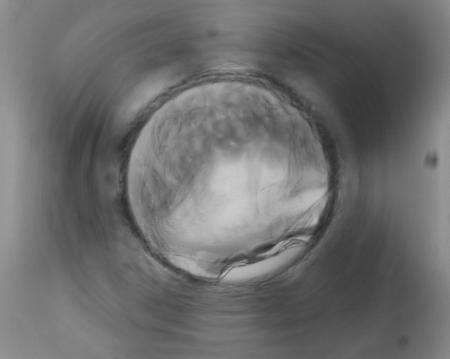 X0000113061306200910091133