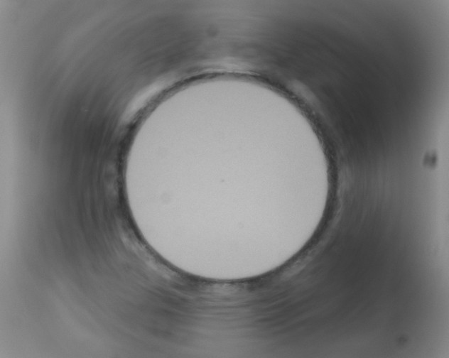 X0000113061307200910091133