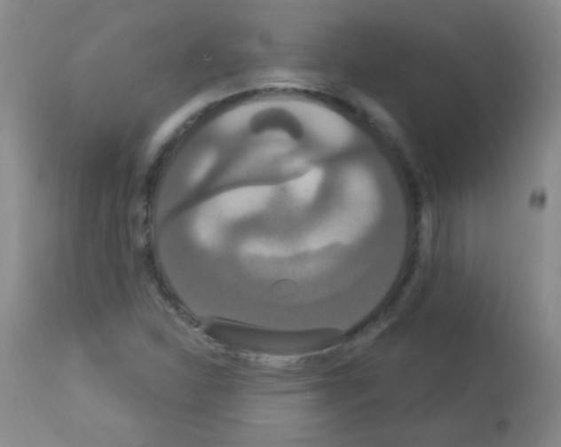 X0000113061310200910091133