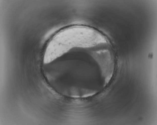 X0000113061311200910091133