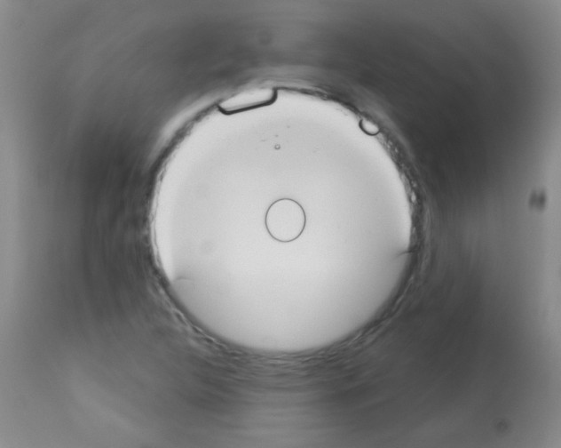 X0000113061312200910091133
