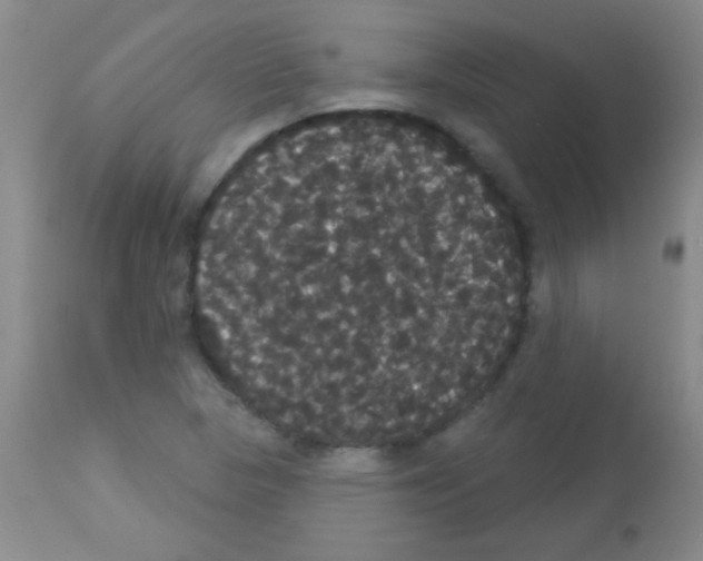 X0000113061313200910091133