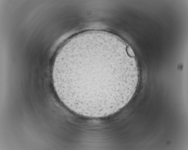 X0000113061315200910091133
