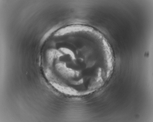 X0000113061317200910091133