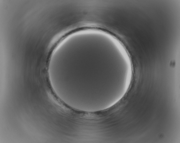 X0000113061319200910091133