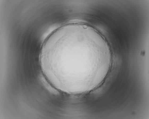 X0000113061322200910091133