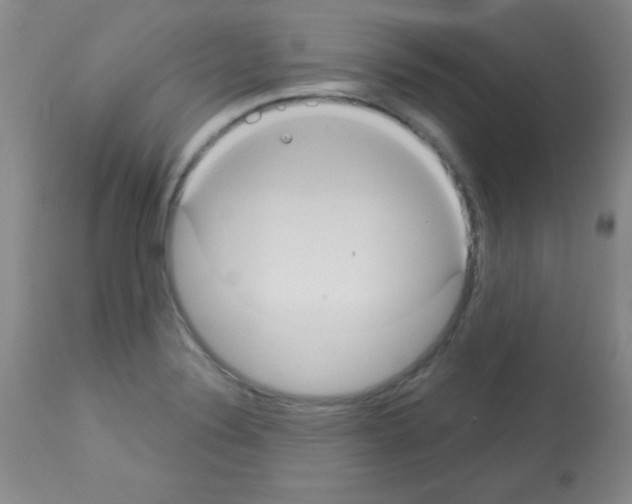 X0000113061324200910091133