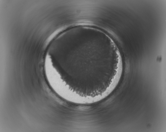X0000113061325200910091133
