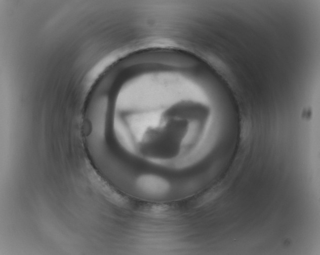 X0000113061326200910091133