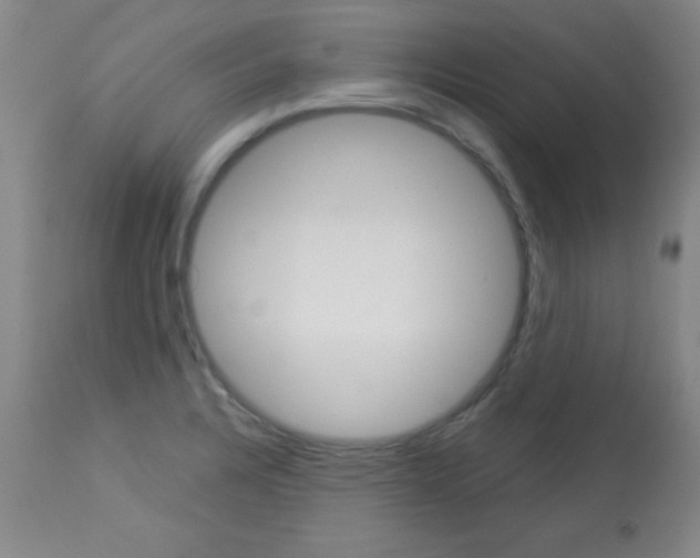 X0000113061328200910091133