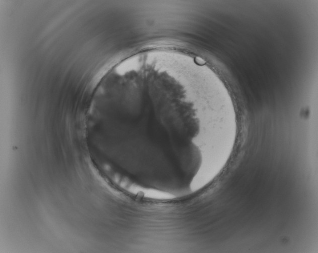 X0000113061329200910091133