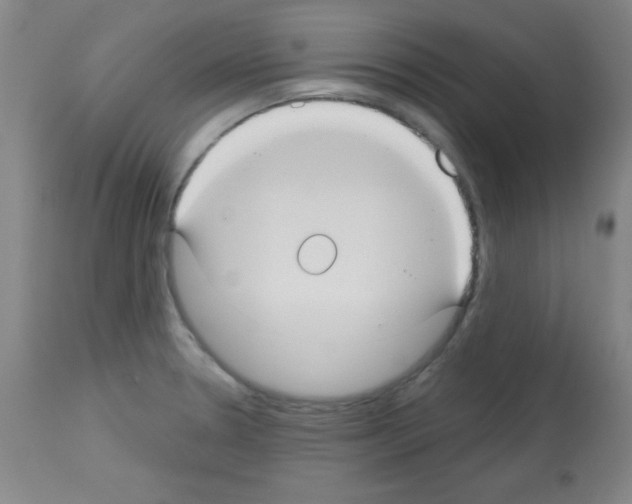 X0000113061330200910091133