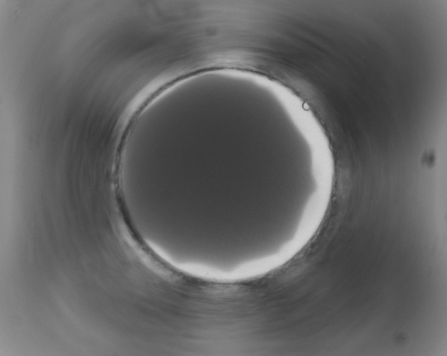 X0000113061331200910091133