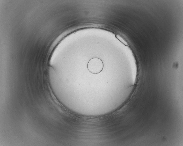 X0000113061332200910091133