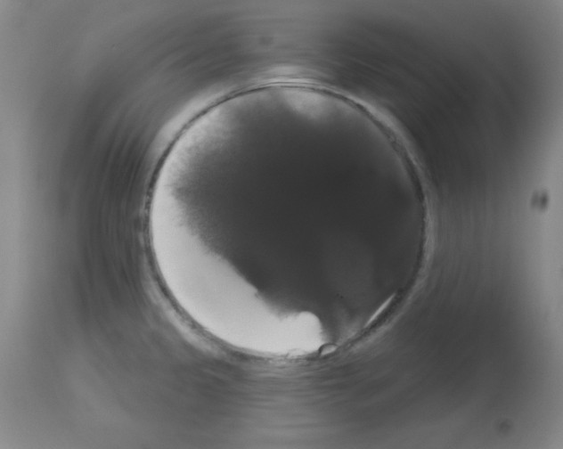 X0000113061333200910091133