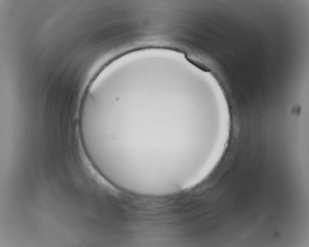 X0000113061334200910091134