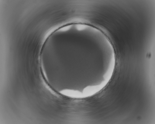 X0000113061335200910091134
