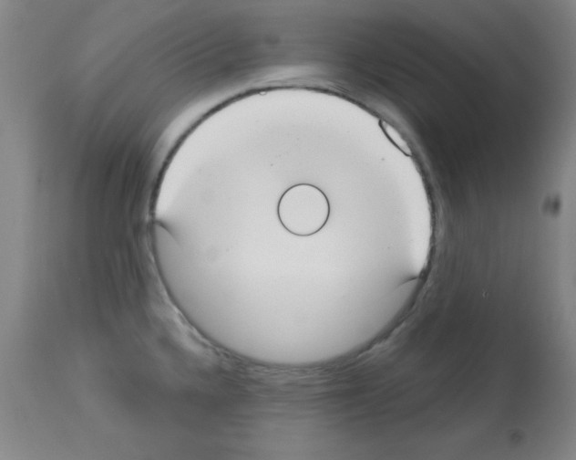 X0000113061336200910091134