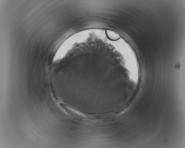 X0000113061337200910091134