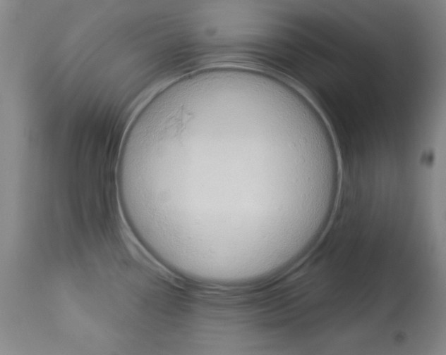 X0000113061338200910091134