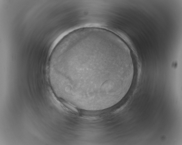 X0000113061340200910091134