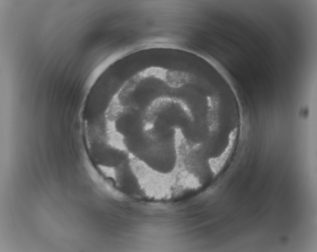 X0000113061341200910091134