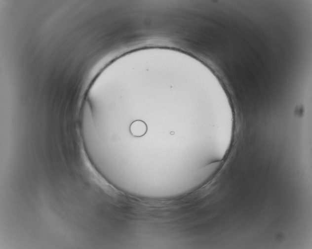 X0000113061342200910091134