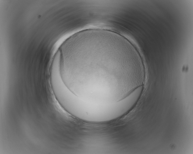 X0000113061344200910091134