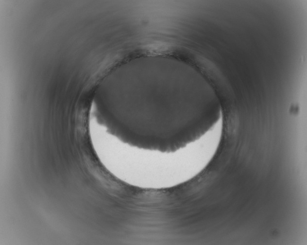 X0000113061346200910091133