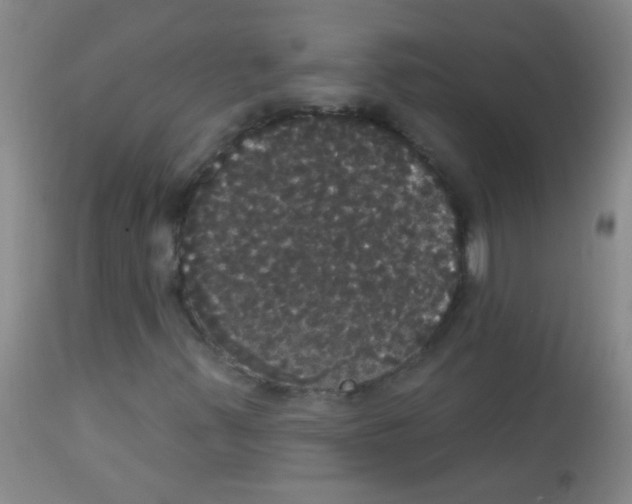 X0000113061347200910091133