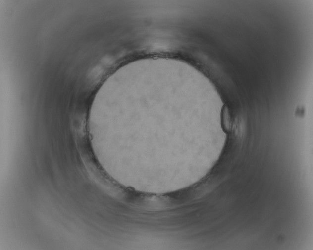 X0000113061348200910091133