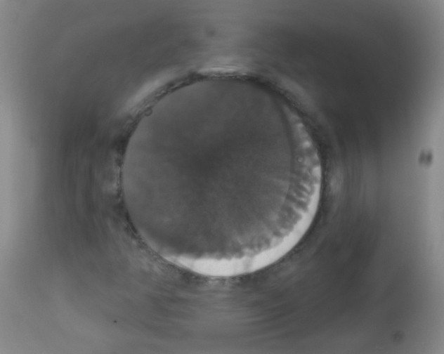 X0000113061350200910091133