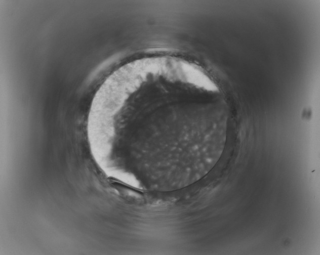 X0000113061351200910091133