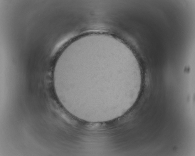 X0000113061352200910091133