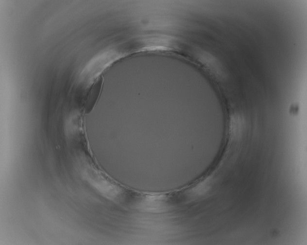 X0000113061353200910091133
