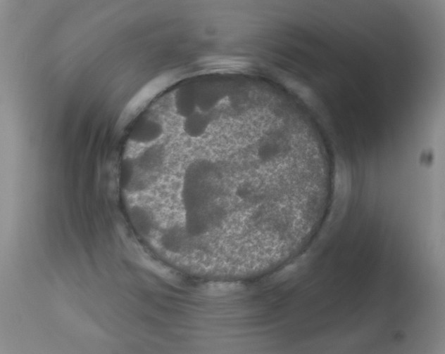 X0000113061354200910091133