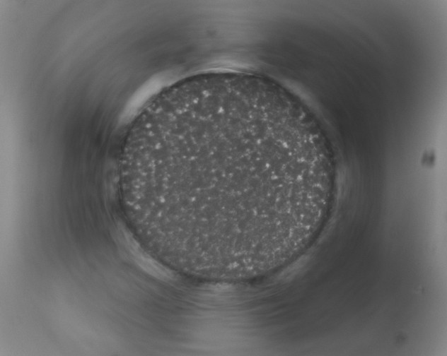 X0000113061355200910091133