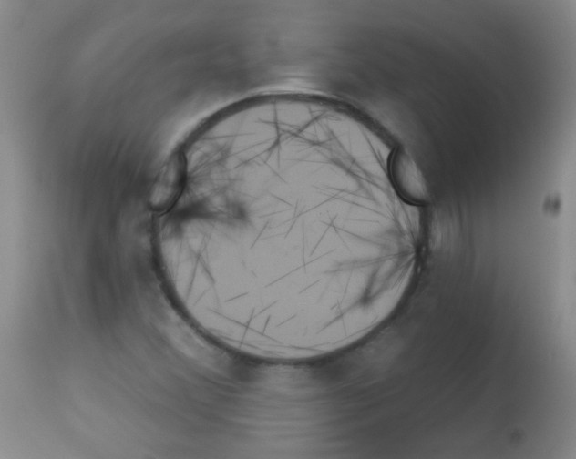 X0000113061356200910091133