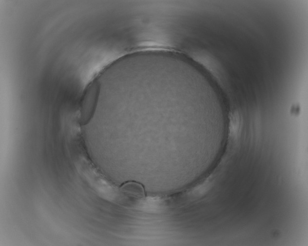 X0000113061357200910091133